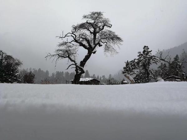 小人国救援